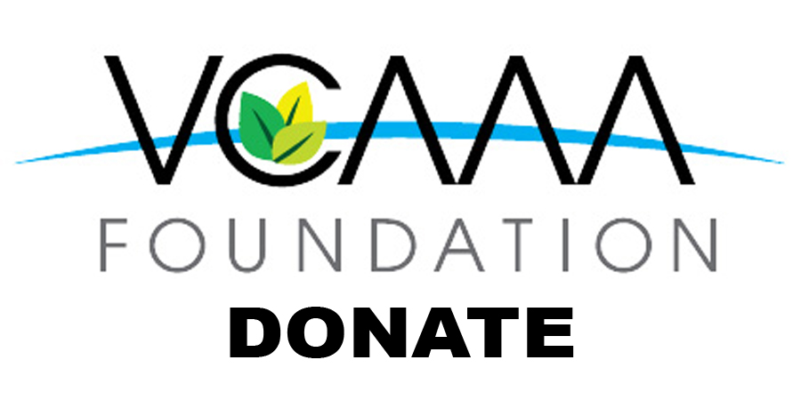 VCAAA Foundation logo